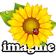 ​Imagine