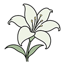 花笺
